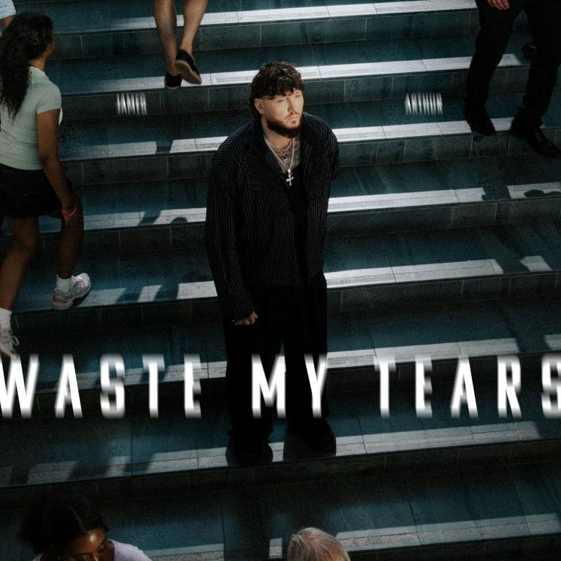 Cover di Waste My Tears